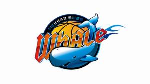 一胜难求！四川24分不敌吉林 苦吞16连败继续垫底