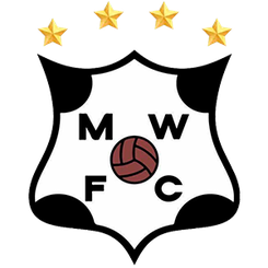 康塞普西翁大学